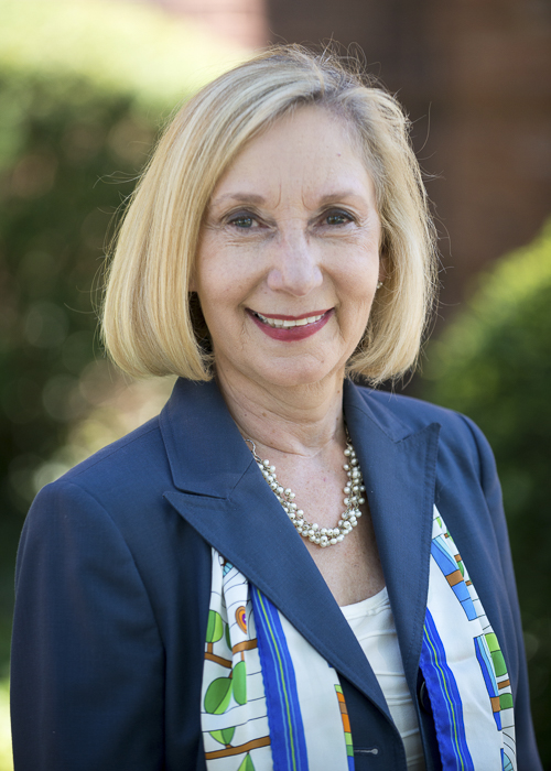 Photograph of Representative  Robyn Gabel (D)